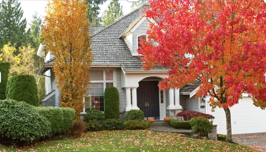 Seattle home surrounded by colorful fall leaves, showing seasonal curb appeal and rainy weather preparation.